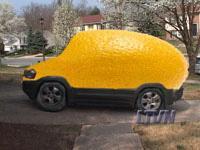 Lemon Buyback Law