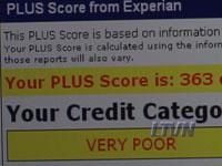 The Credit Error Repairer